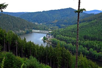 Březová reservoir in the Teplá valley, July 2019