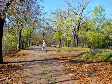 Podzimní Letná, park v Praze, 2008