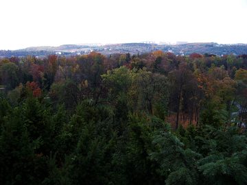Stromovka z terasy Místodržitelského letohrádku