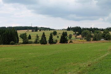 Meadows on the site of the defunct village of Zhůří, 2013