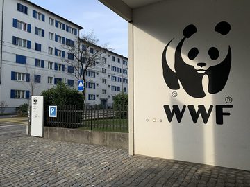 WWF – budova, 2020