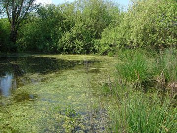 Litovelské Pomoraví, 2006