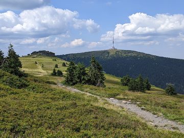 NPR Praděd - vrcholové partie z okolí rozcestí Nad Ovčárnou (červenec 2024)