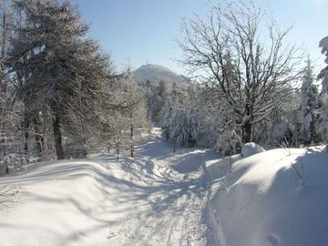 Góry Łużyckie, 2005