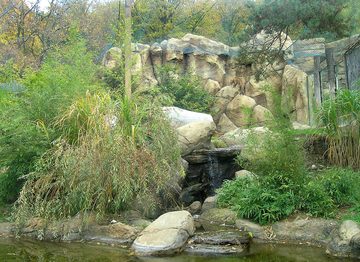 Expozice Tygří skály v ZOO Brno, 2007