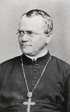 Gregor Mendel s křížem, 2014