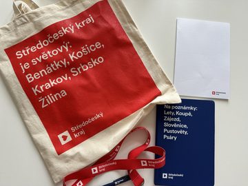 Snímek z publikace Pražská Drbna