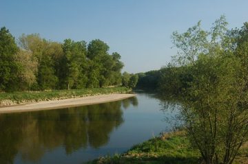 На снимке: Морава (иллюстрация)