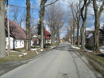 Rejvíz, 2008