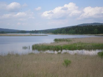 Dolejší Padrťský rybník v Brdech. Vpravo v pozadí vrch Kočka (789 m), 2008