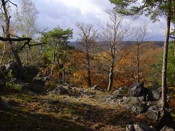 Lesy v CHKO Křivoklátsko, 2006