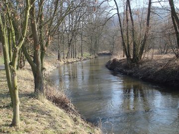The Bílina river at Stadice (Ústí nad Labem Region, Czechia), 2008